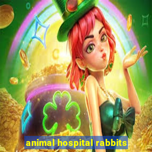 animal hospital rabbits